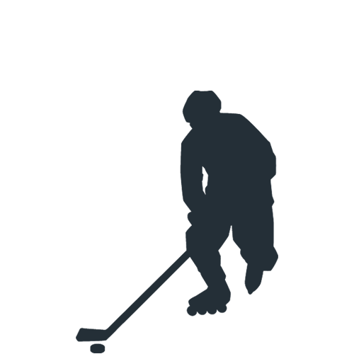 Inline-Hockey Rink icon