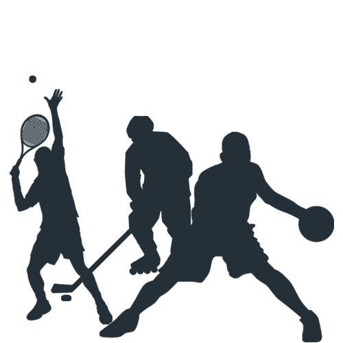 multi-sport icon